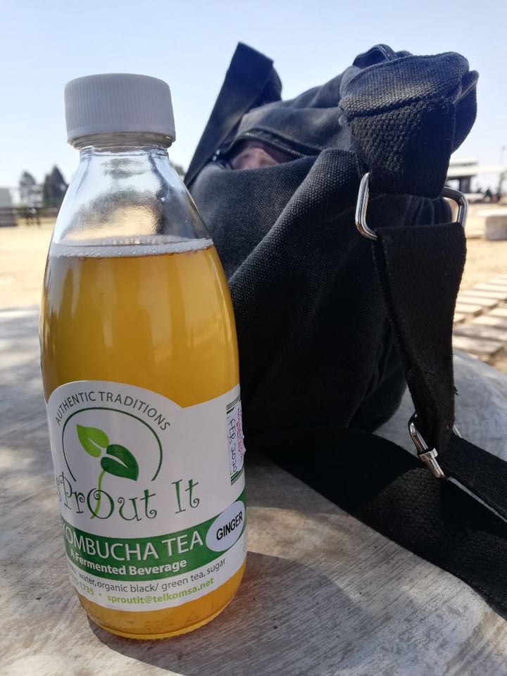 Sprout It Ginger Kombucha Reviews abillion