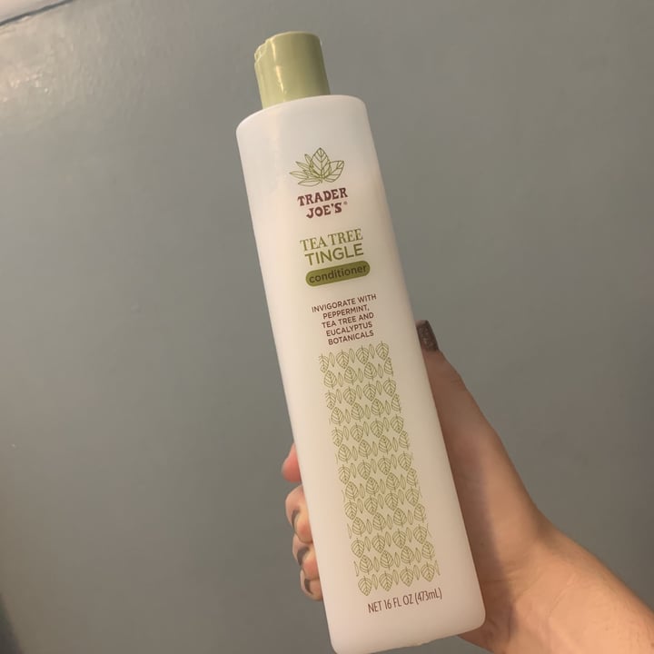 Trader Joe's Tea Tree Tingle Conditioner Review abillion