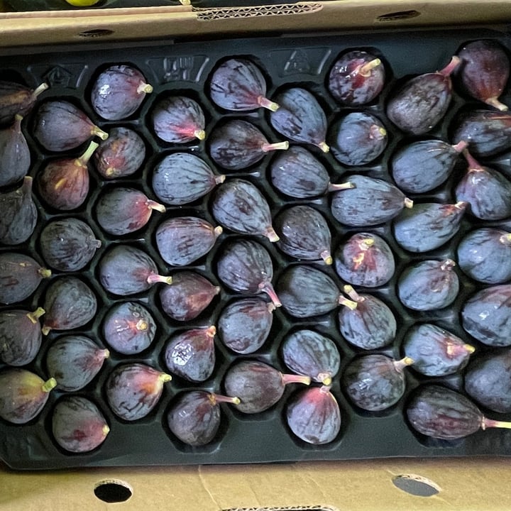 California figs Reviews abillion