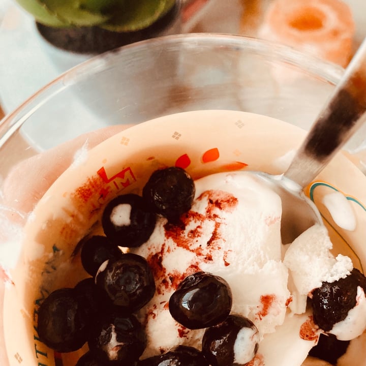 Ben & Jerry's Caramel Almond Brittle NonDairy Frozen Dessert Review