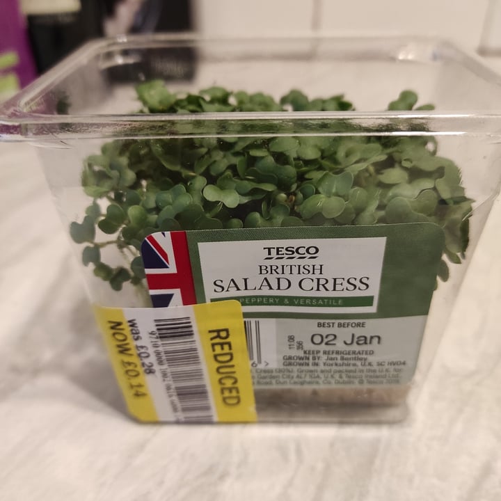 Tesco British Salad Cress Review Abillion garden-cress-plant-pods-click-grow-eu