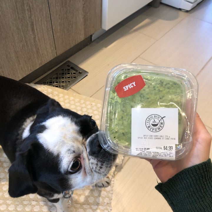 Farm Boy Spicy EdaYummy Kale Review abillion