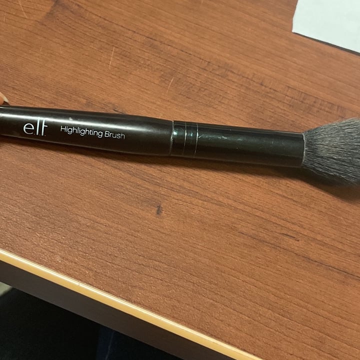 e.l.f. Cosmetics Highlight Brush Review abillion