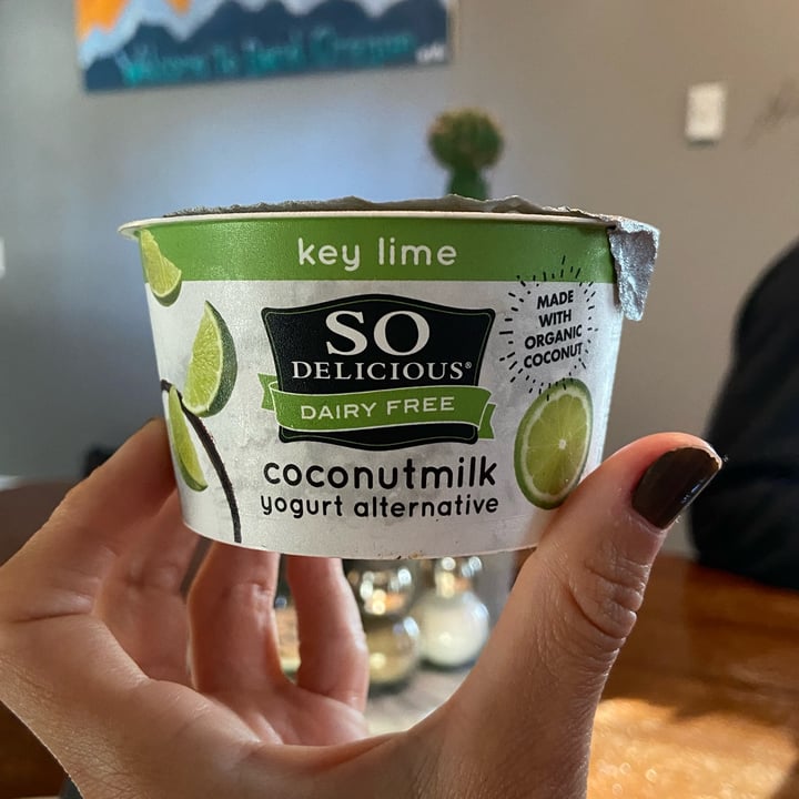So Delicious Dairy Free Key Lime Coconutmilk Yogurt Alternative Review
