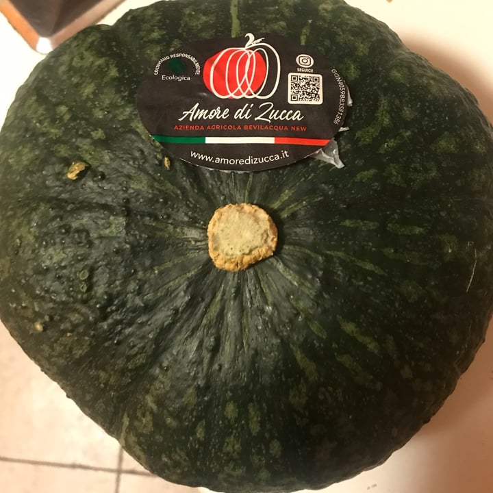 amore di zucca Zucca delica Review abillion