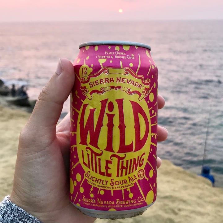 Sierra Nevada Wild Little Thing Slightly Sour Ale Reviews abillion