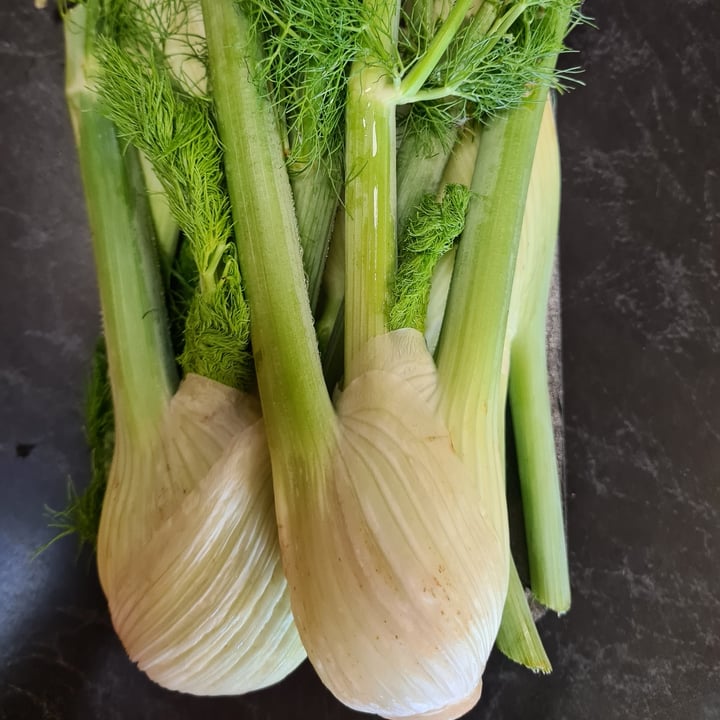 Toscana herbs and fresh produce Fennel Review abillion