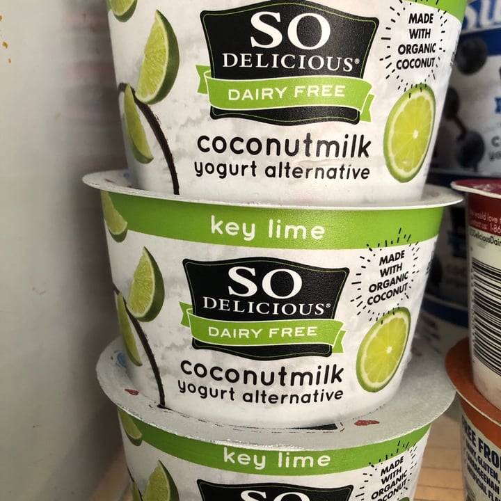 So Delicious Dairy Free Key Lime Coconutmilk Yogurt Alternative Review