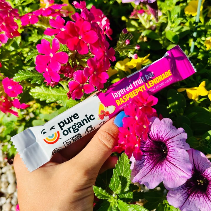 Pure Organic Raspberry Lemonade Layered Fruit Bar Reviews abillion
