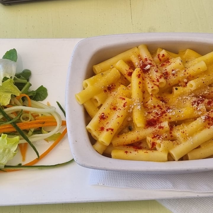 Plant Camps bay Cape Town, South Africa Dirty mac n cheese Review abillion