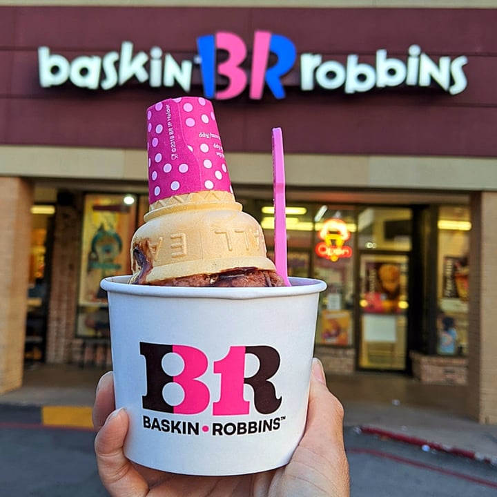 BaskinRobbins Westside, Houston, United States NonDairy Salted Fudge