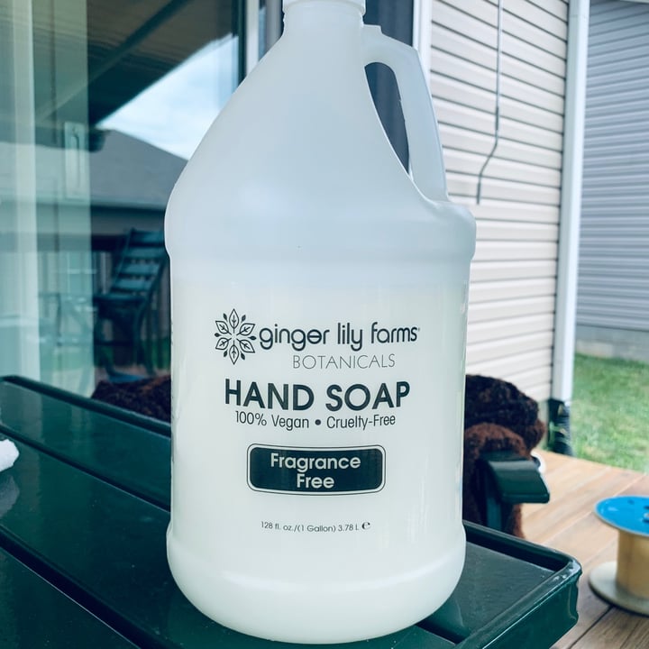 Ginger Lily Farms Hand Soap Fragrance Free Review abillion