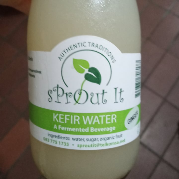 Sprout It Kefir Water (Ginger) Review abillion