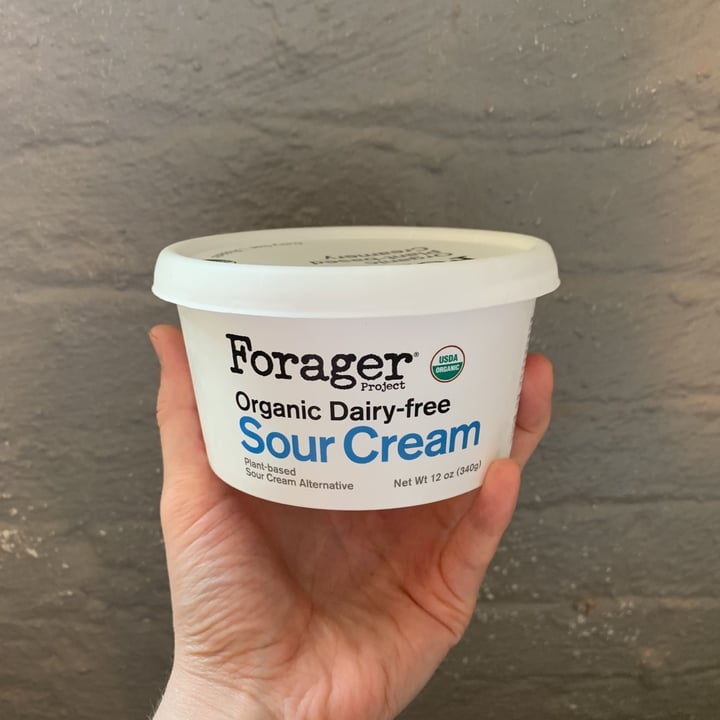 Forager Project Organic Dairyfree Sour Cream Review abillion