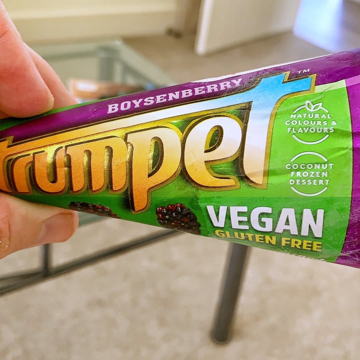 Tip Top Ice Cream Vegan Trumpet Review abillion