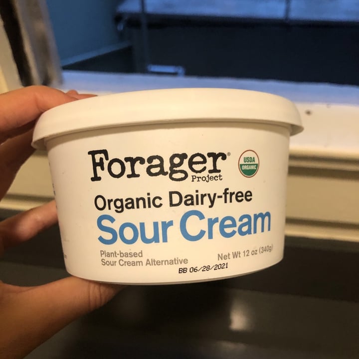 Forager Project Organic Dairyfree Sour Cream Review abillion