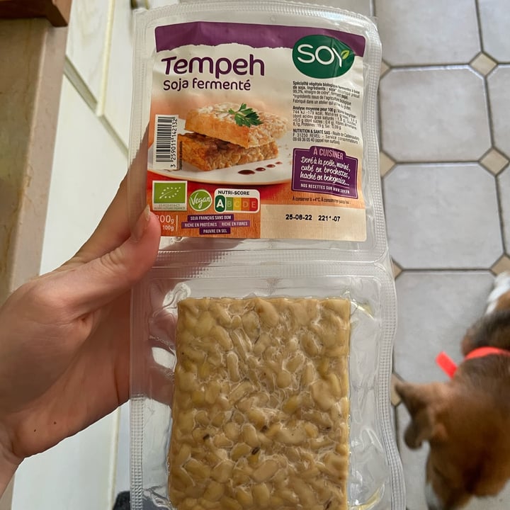 SOY tempeh Reviews abillion