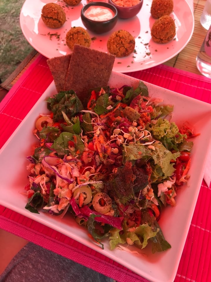 review photo of Oli veggie food Panera shared by @julir0th on 24 Jan 2020 - review