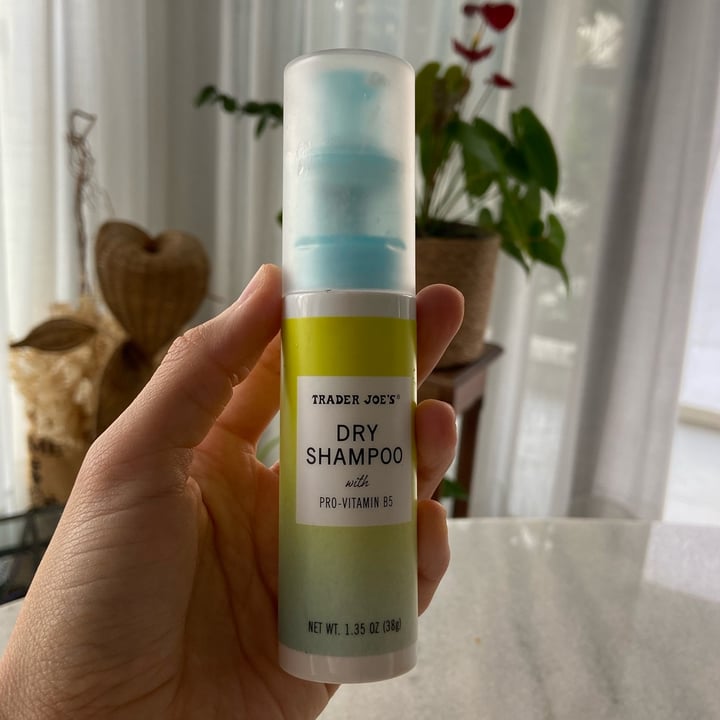 Trader Joe's Dry Shampoo Review abillion