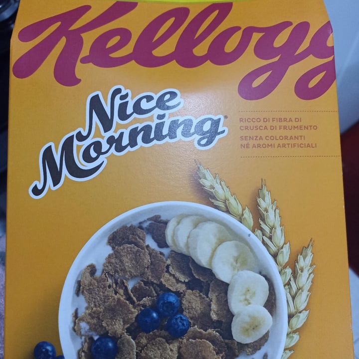 Kellogg Nice Morning Review abillion