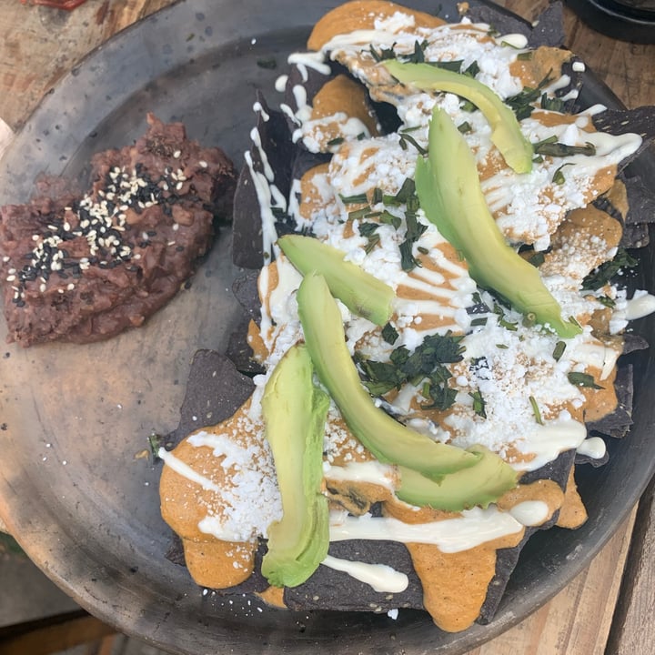 Luvina Vegan Bar Narvarte Oriente, Ciudad de México, Mexico Chilaquiles