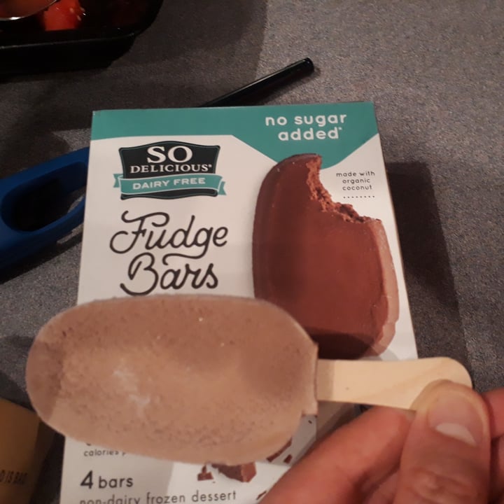So Delicious Dairy Free Fudge Bars Coconutmilk No Sugar Added Review