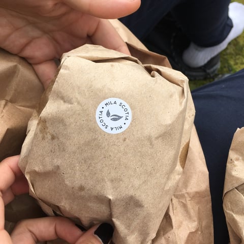 Review image