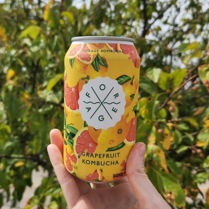 Forage Grapefruit Kombucha Review abillion