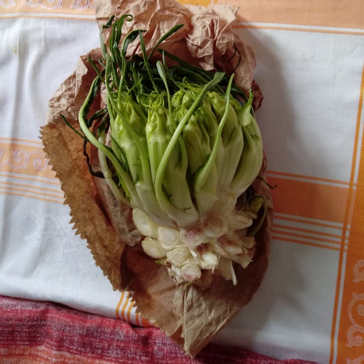 review photo of Babaco box Cicoria cimata shared by @lapao on 31 Mar 2022 - review