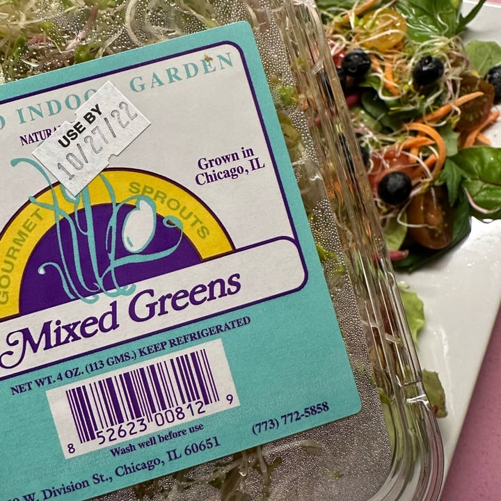 Chicago Indoor garden Mixed Greens Gourmet Sprouts Review abillion