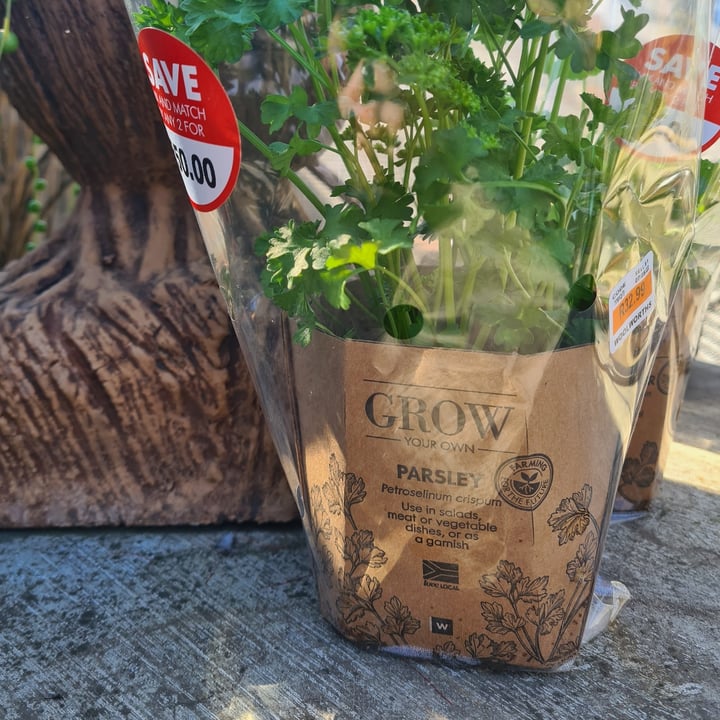 Woolworths Parsley Grow your own Review abillion