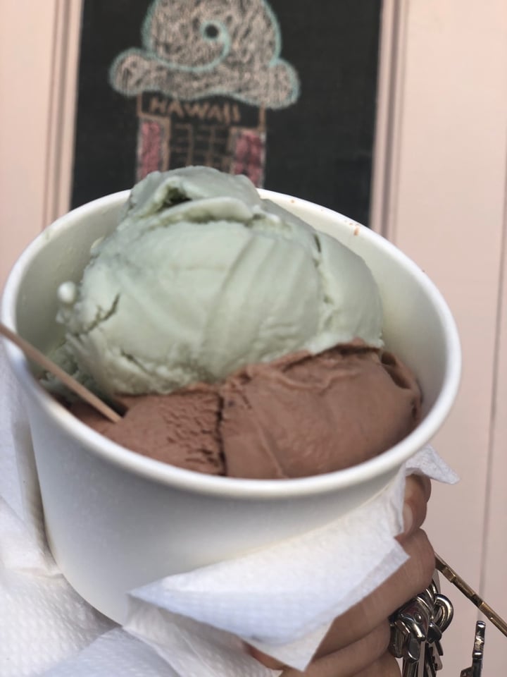 Wing Ice Cream Parlor United States Coconut Pandan and Coco Monkey