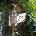 stellsferrs @stellsferrs profile image