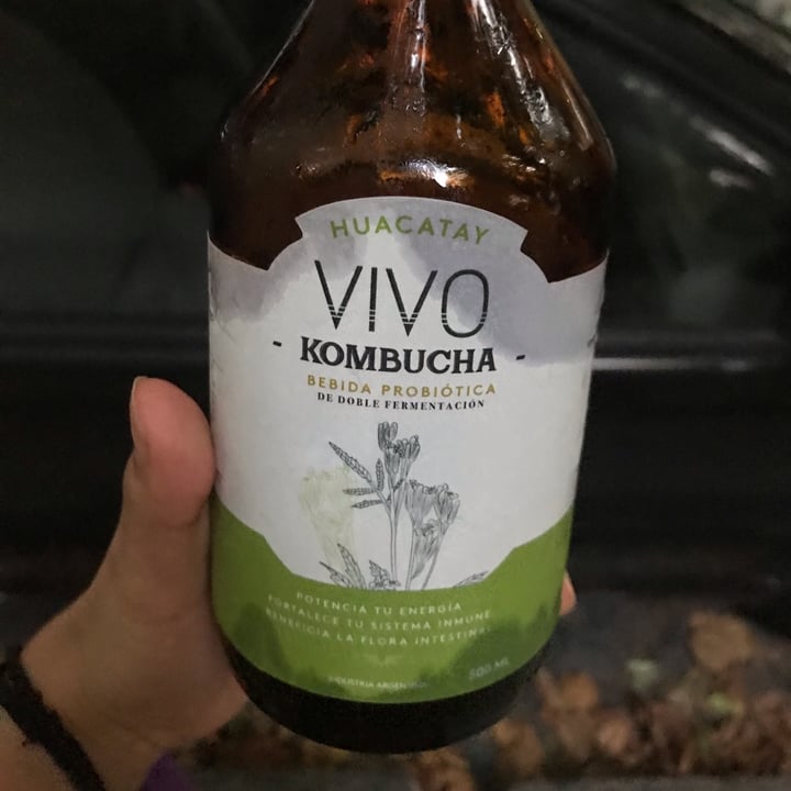 Vivo Kombucha Con Huacatay Review Abillion 