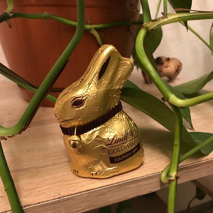 Lindt Gold Bunny Dark Chocolate Review abillion