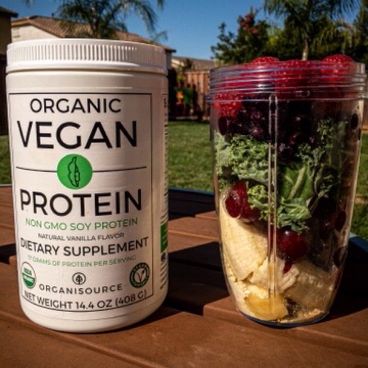 Organisource Vegan Protein Review abillion