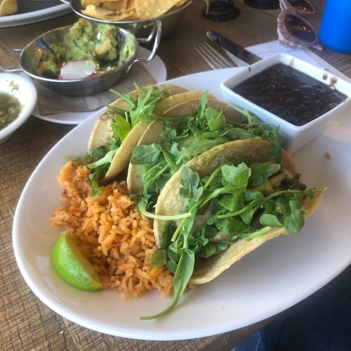 Cha Cha's Latin Kitchen Lower Peters Canyon, Irvine, United States