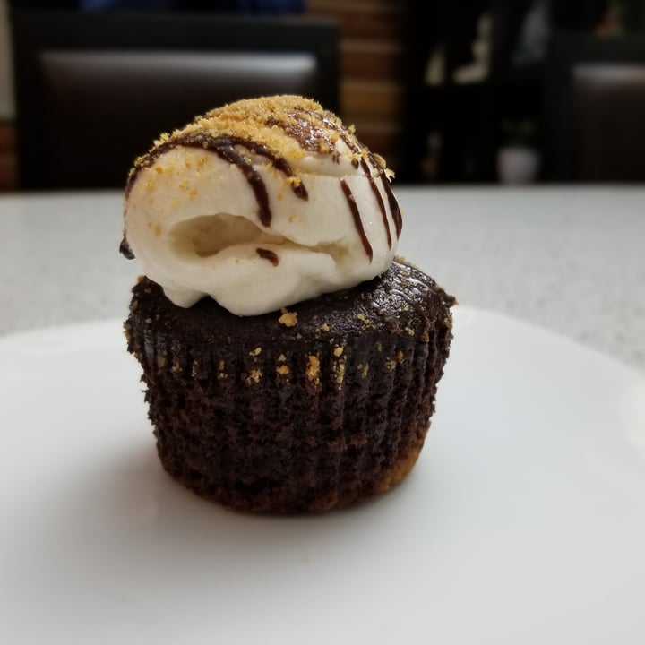 Sweets from the Earth Smores Cupcake Review | abillion