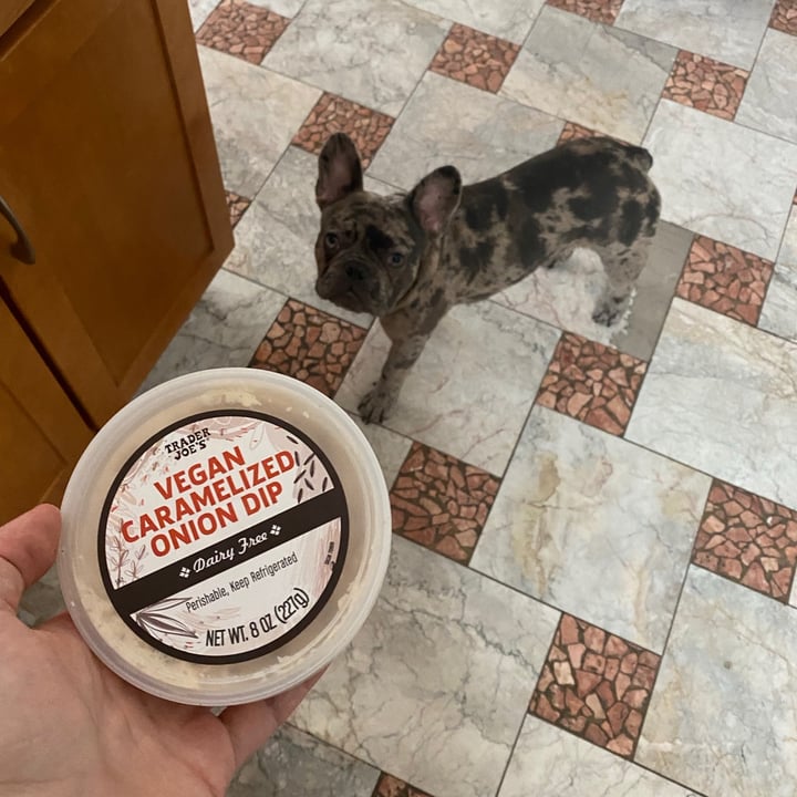 Trader Joe's Vegan Caramelized Onion Dip Review abillion