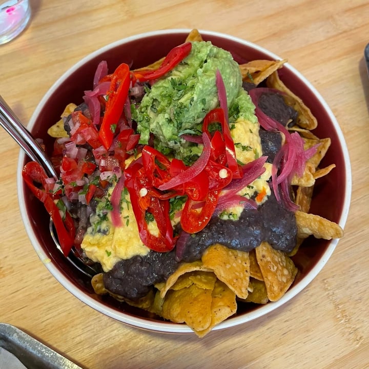 Chihuahua Tacos Milano, Italy Nachos Campesinos Review abillion