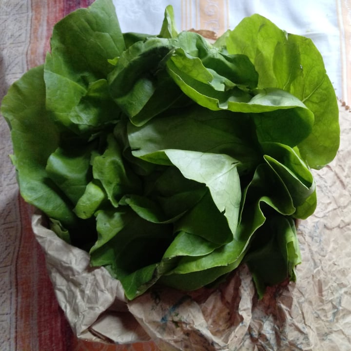 review photo of Babaco box Insalata Trocadero o gentile shared by @lapao on 31 Mar 2022 - review