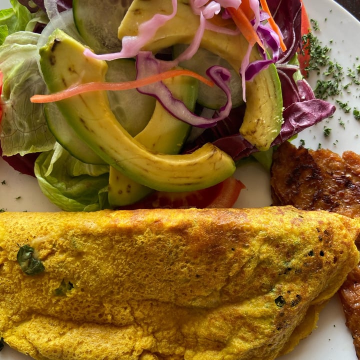 Asher's Corner Cafe Ashers Farm Sanctuary South Africa tofu omelette