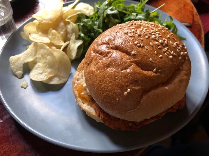 Das Augustin Veganer Bohnenburger Reviews | abillion