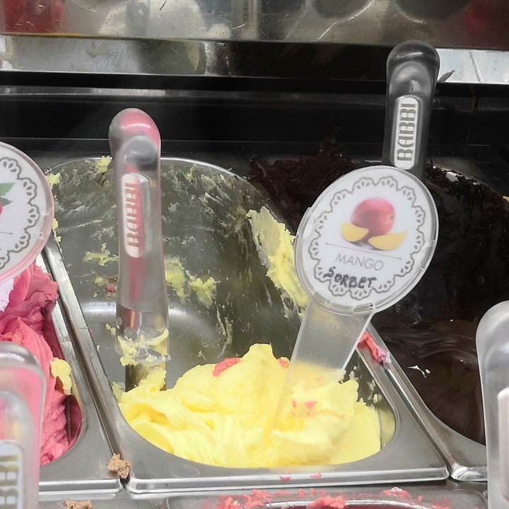 Romeo & Giulietta Artisan Gelateria Mango Sorbet Reviews abillion