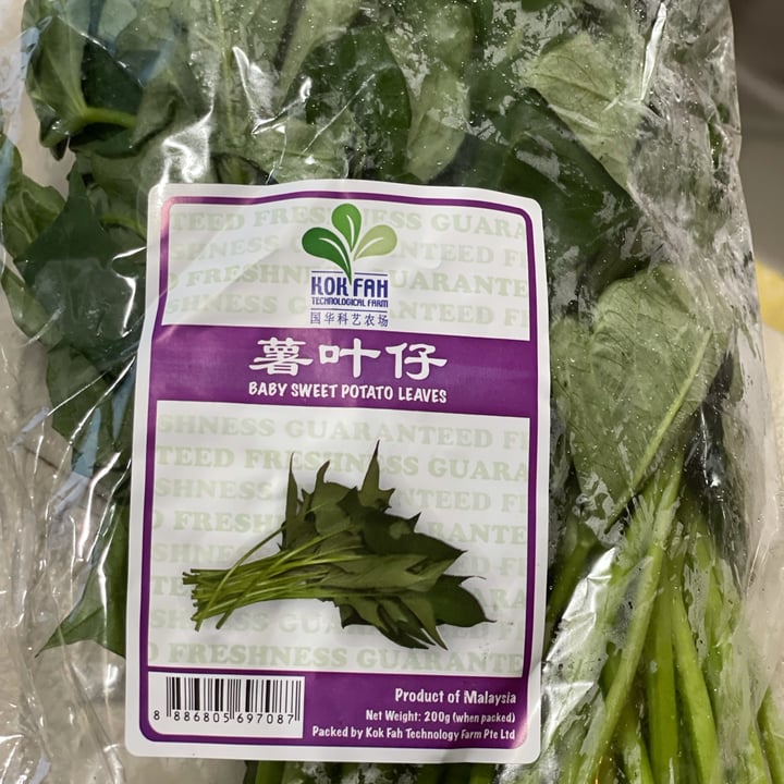 Kok Fah Farm Baby Sweet Potatoes Leaves Review abillion