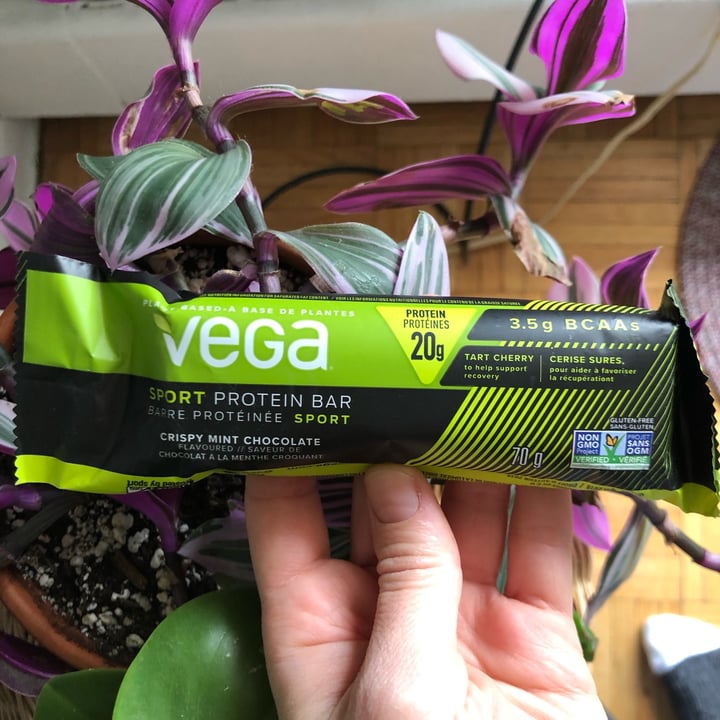 Vega Crispy Mint Chocolate VEGA SPORT® PROTEIN BAR Review abillion