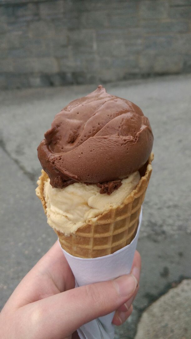 Fits the Scoop Vegan ice cream Reviews abillion