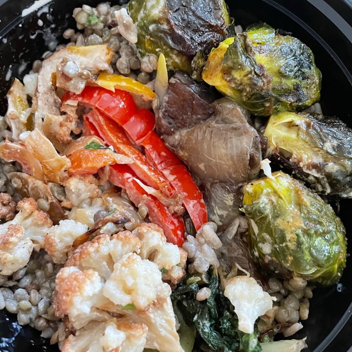 The Family Store Bay Ridge, Brooklyn, United States Lunch Special