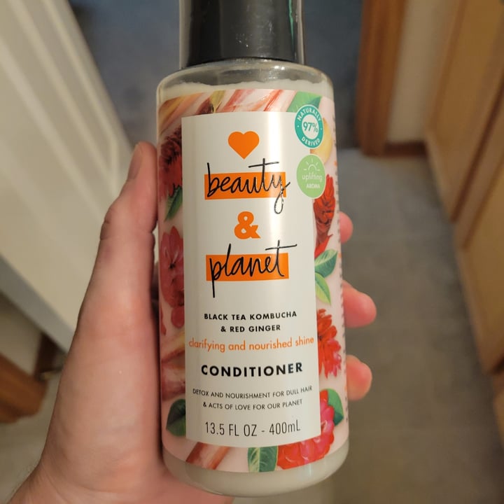 Love Beauty and Black Tea Kombucha & Red Ginger Conditioner