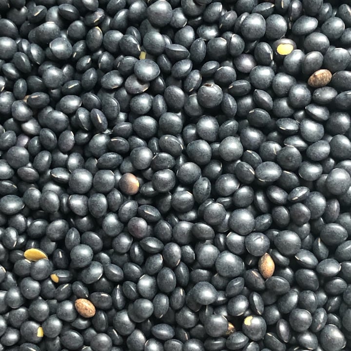 clear creek Black Beluga Lentils Review abillion